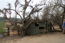 Enlarge photo 59