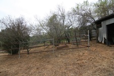 Enlarge photo 57