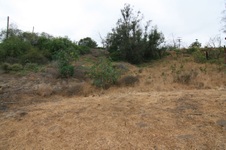 Enlarge photo 53