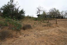 Enlarge photo 52