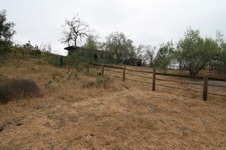 Enlarge photo 51