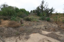 Enlarge photo 50