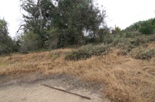 Enlarge photo 49