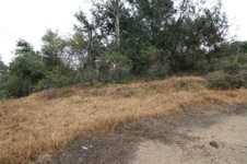 Enlarge photo 48