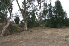 Enlarge photo 47