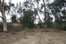 Enlarge photo 46