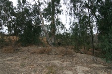 Enlarge photo 45