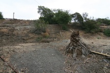 Enlarge photo 44