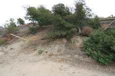 Enlarge photo 43