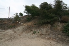 Enlarge photo 42