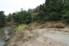 Enlarge photo 29