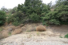 Enlarge photo 28