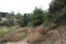 Enlarge photo 27