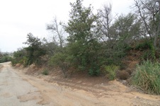 Enlarge photo 25