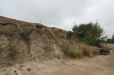 Enlarge photo 22