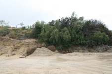 Enlarge photo 17
