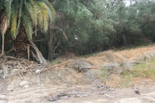 Stocker Oil Fields