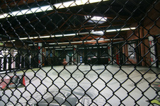 Enlarge photo 19