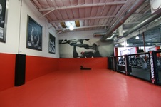 Enlarge photo 54
