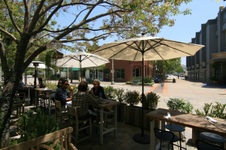 Enlarge photo 57