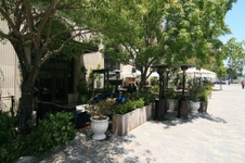 Enlarge photo 63