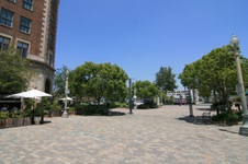 Enlarge photo 66