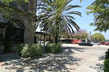 Enlarge photo 73