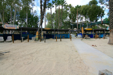 Enlarge photo 61