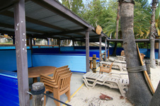Enlarge photo 65