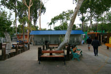 Enlarge photo 15