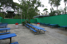 Enlarge photo 34