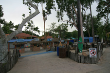 Enlarge photo 39