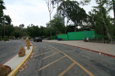 Enlarge photo 41