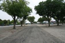 Enlarge photo 49