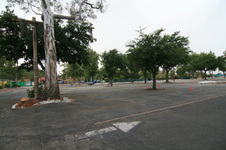 Enlarge photo 59
