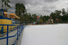 Enlarge photo 81