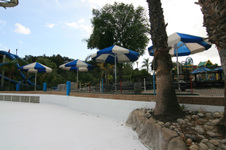 Enlarge photo 84