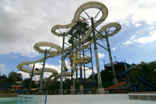 Enlarge photo 85