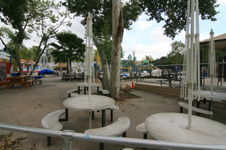 Enlarge photo 130