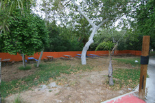 Enlarge photo 131