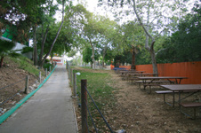 Enlarge photo 135