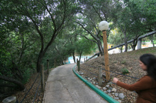 Enlarge photo 136