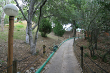 Enlarge photo 137