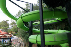 Enlarge photo 50