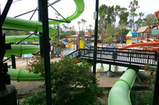 Enlarge photo 51