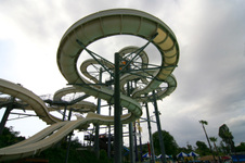 Enlarge photo 53
