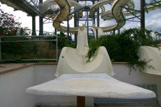 Enlarge photo 56