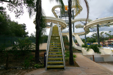 Enlarge photo 62