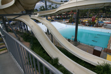 Enlarge photo 64