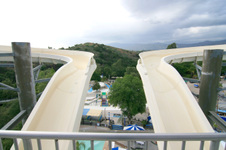 Enlarge photo 76